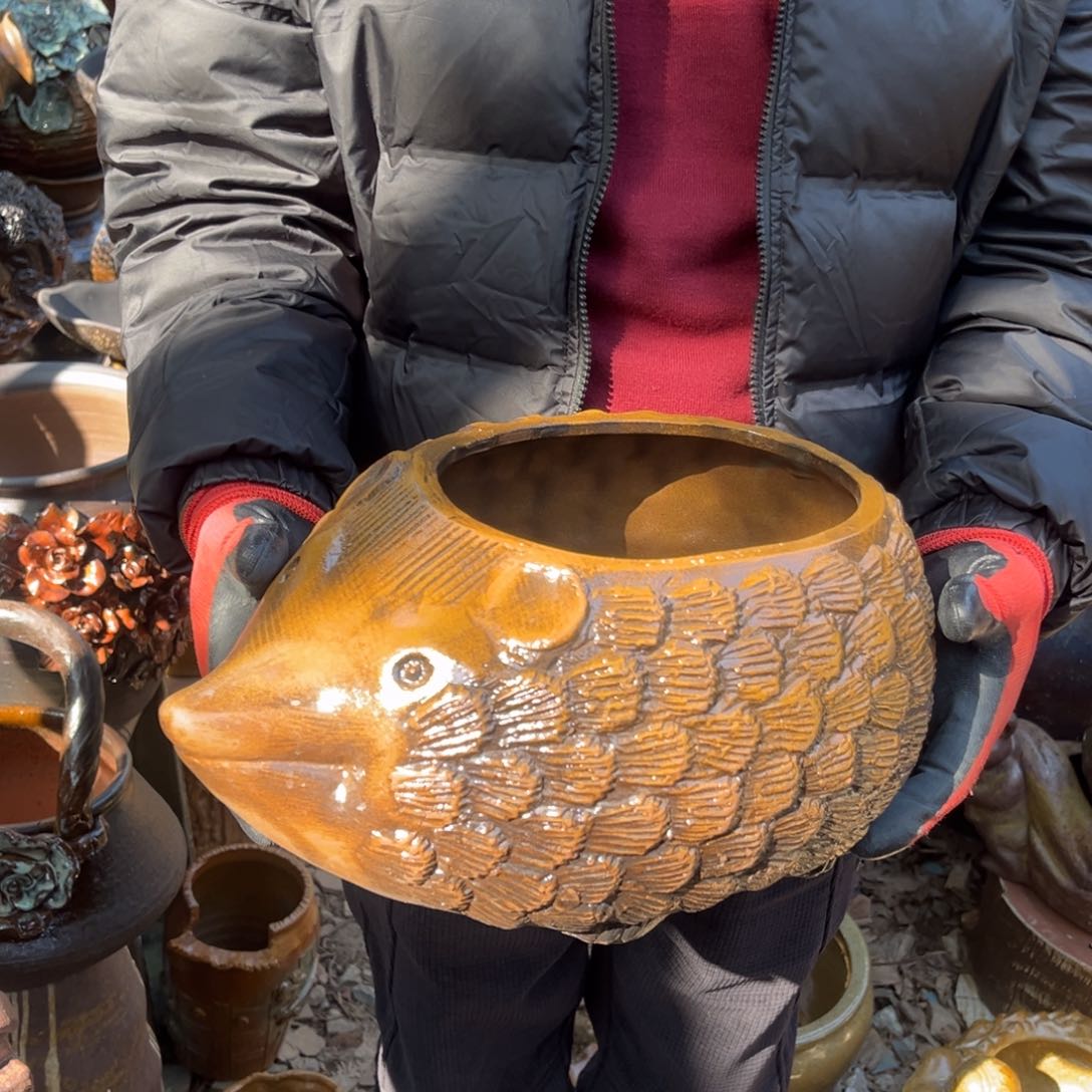 红陶高15口21有孔