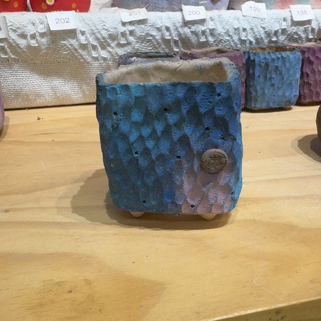 红陶梦*0117-22盆盆盆