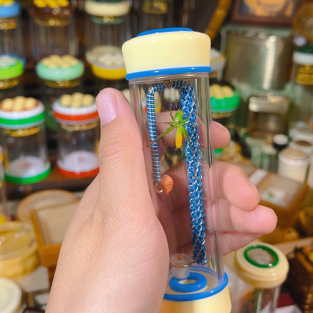 蟋蟀有机竹蛉筒+糖果彩螽