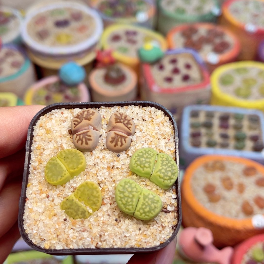 339. 67789867788568875688