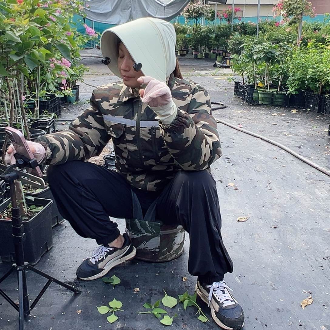 当前无花栽培后可以开花三角梅一棵