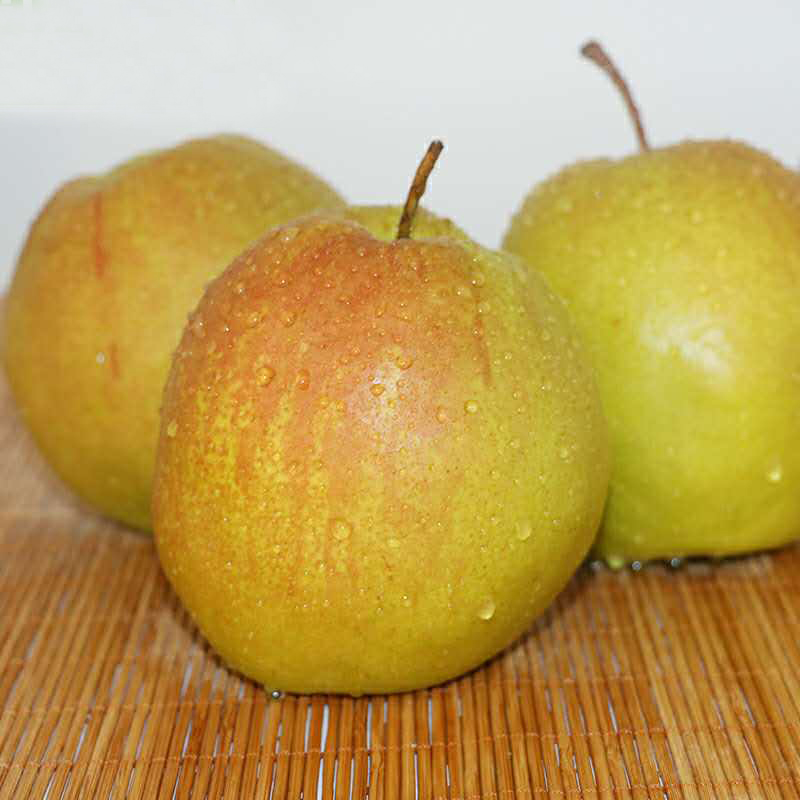 【正宗玉露香】山西精品玉露香脆甜可口皮薄肉厚新鲜水果产地直发