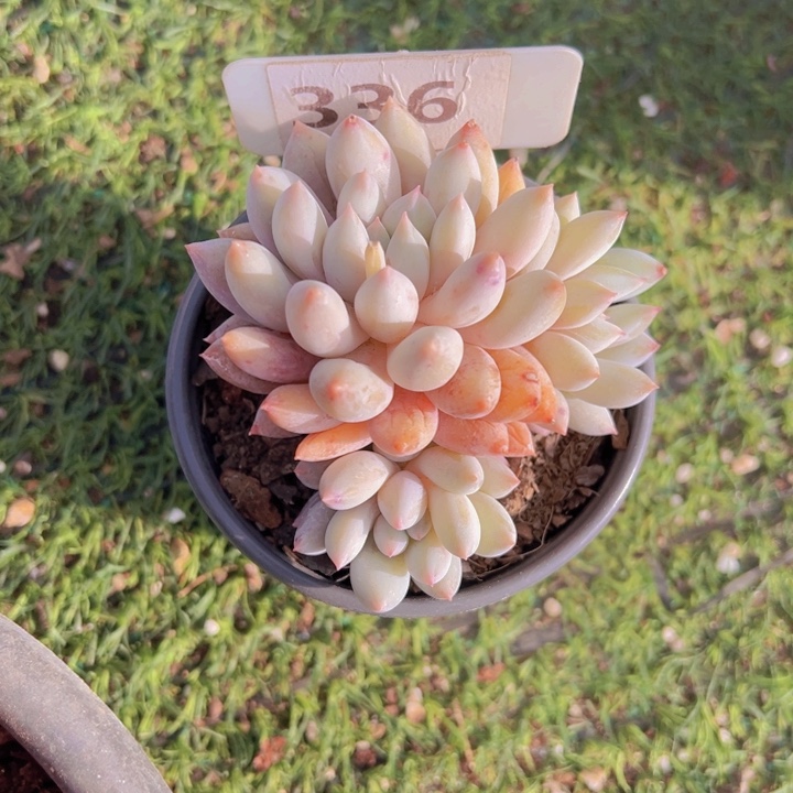 健健康康平平安安