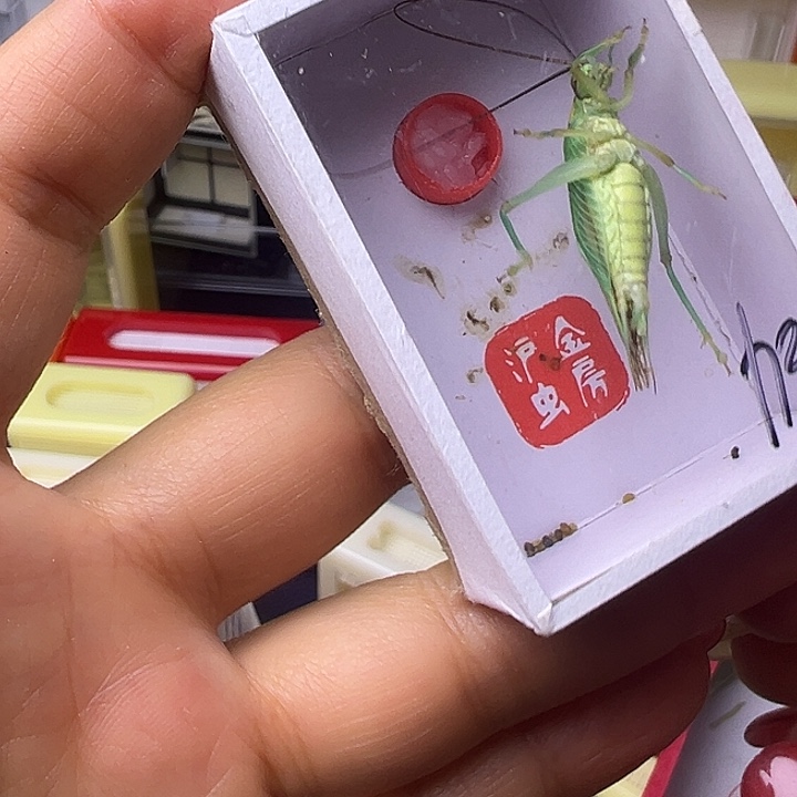 b***n哈哈哈哈哈哈哈哈哈哈哈哈哈