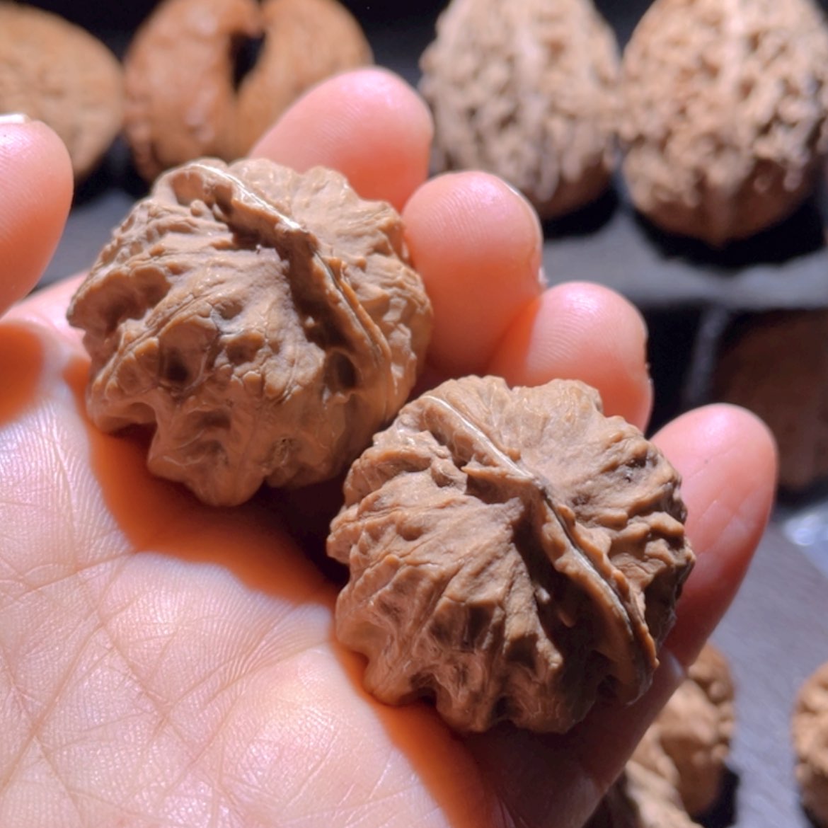 【闪购商品】文玩核桃把件东北楸子1