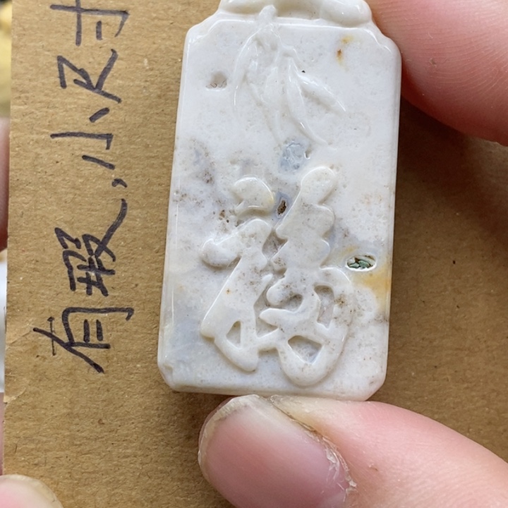 颈饰未镶嵌硅化珊瑚（珊瑚玉）