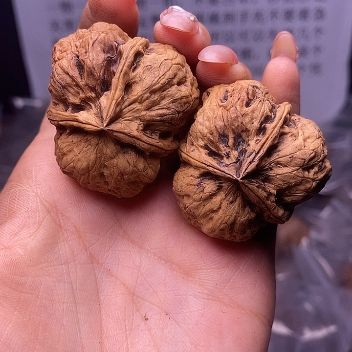 核桃云南野生铁核桃98号41mm
