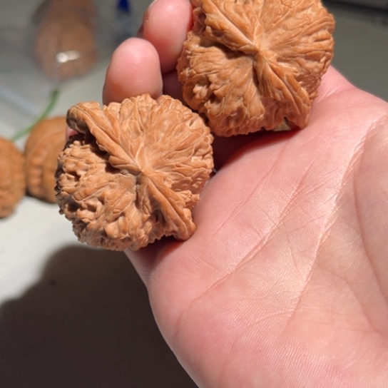 文玩核桃吊坠白狮子 微修