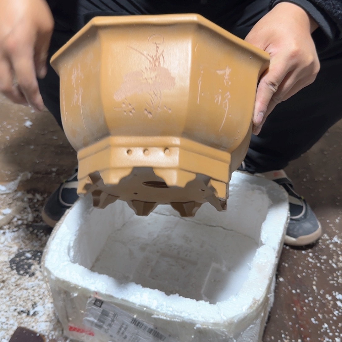 紫砂口径26.16口径