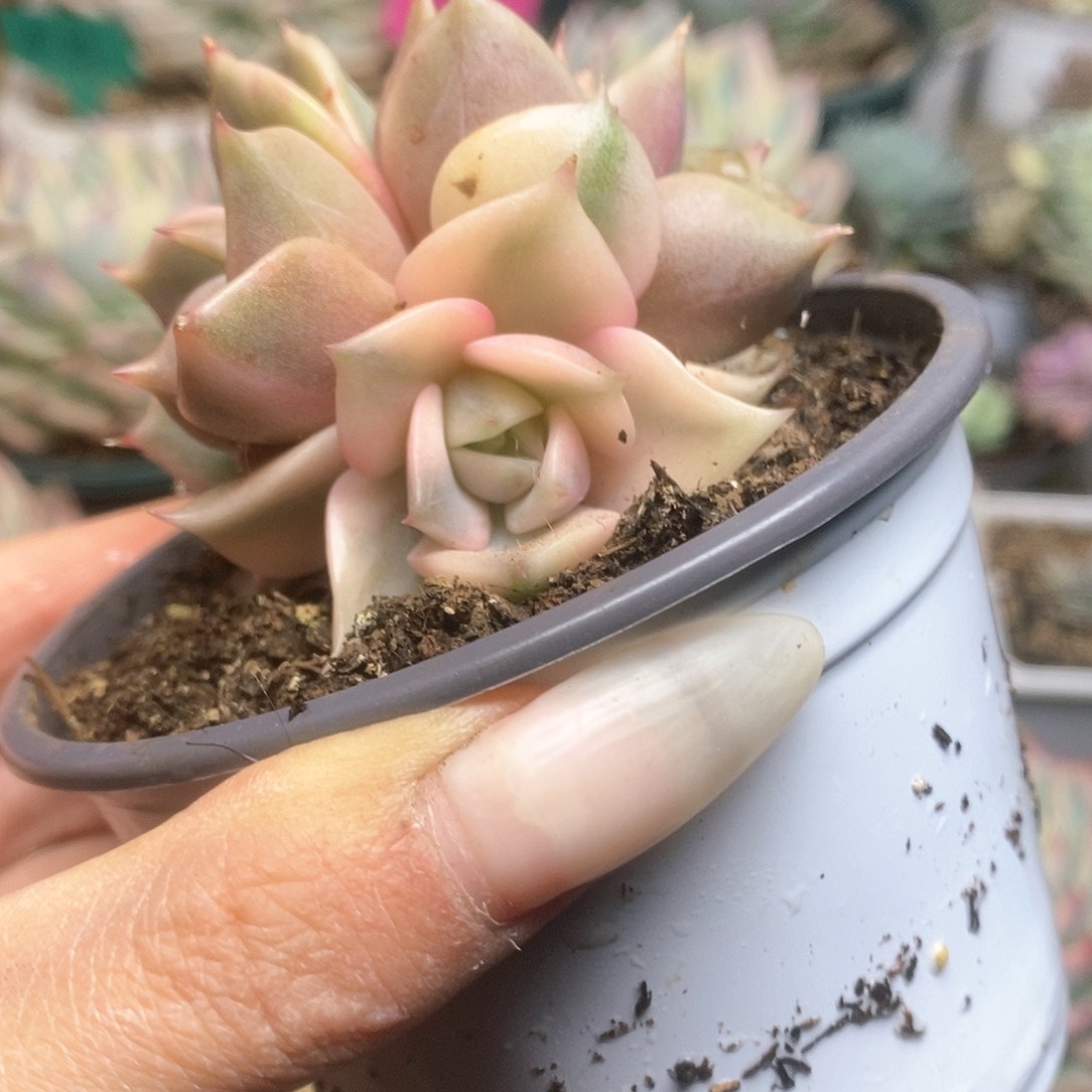 145贝加尔湖锦锦锦锦锦