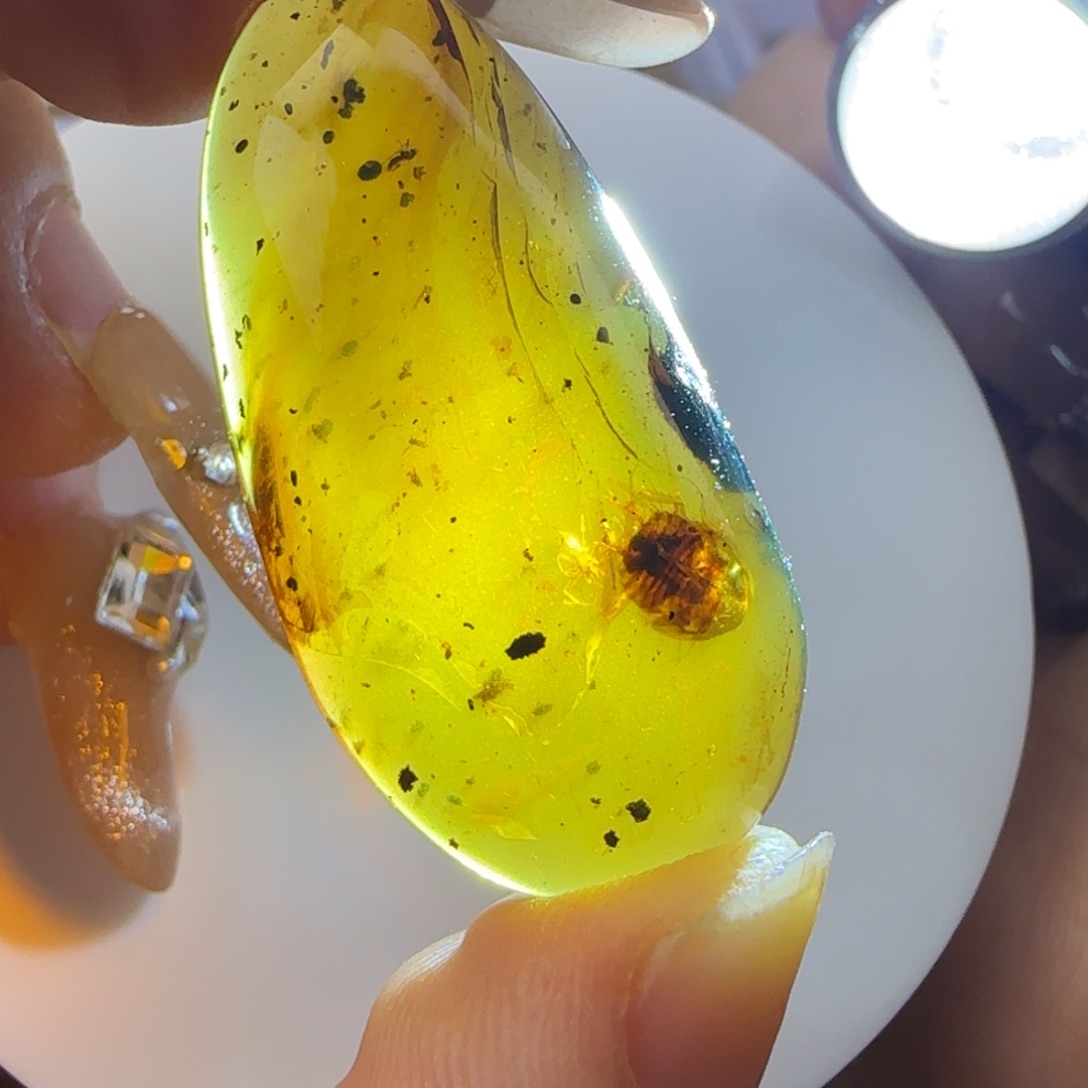 琥珀裸石未镶嵌花蠊