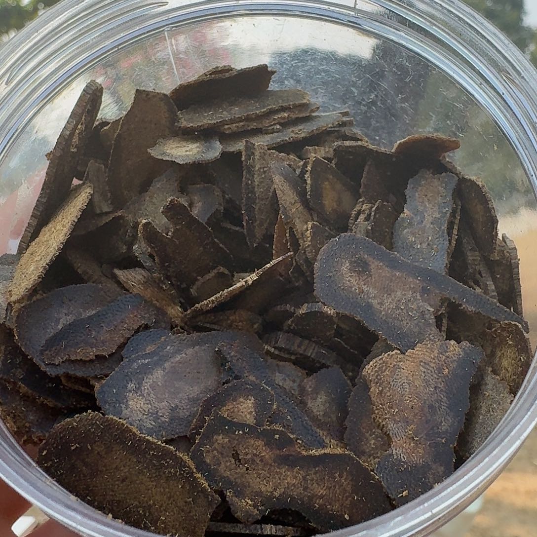 白露树心油原材料50克