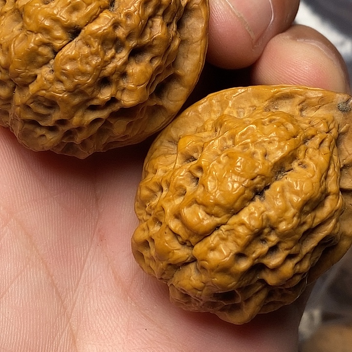 把件文玩核桃志成云铁文玩18