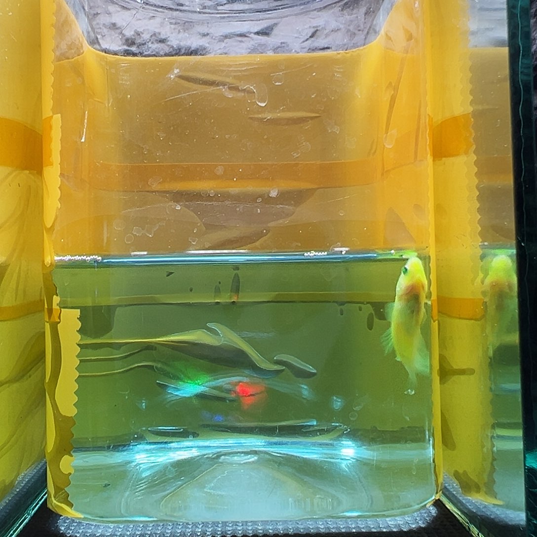 斗鱼精品精品精品精品精品