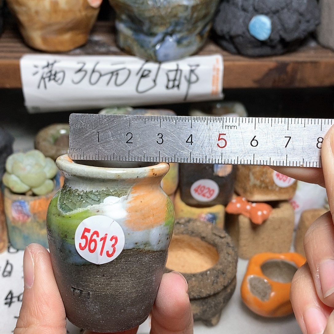 红陶拍5送一个小