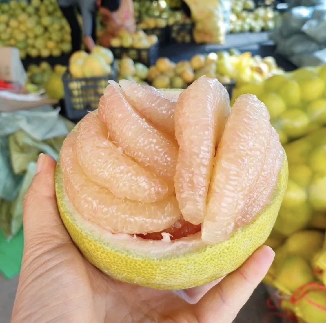 福建仙游度尾红心文旦柚新鲜应季孕妇水果酸甜多汁柚子正宗蜜柚