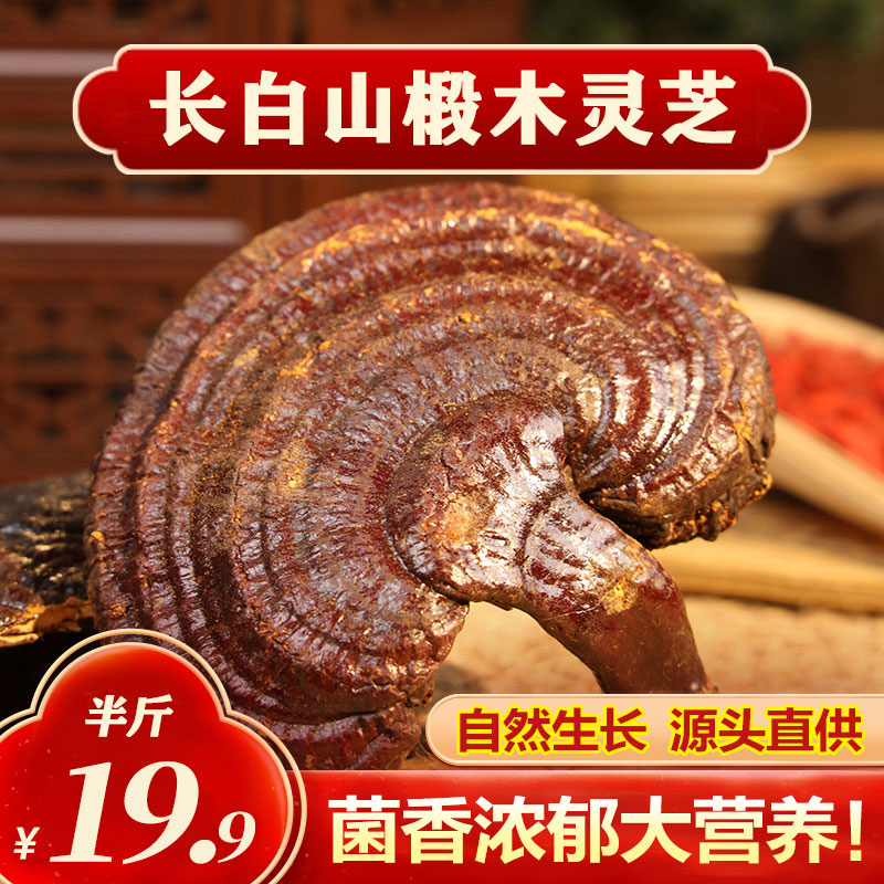 长白山有机赤灵芝整枝赤芝严选整朵巨大中材正宗干货正品煲汤营养