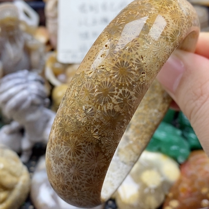 硅化珊瑚（珊瑚玉）颈饰未镶嵌61