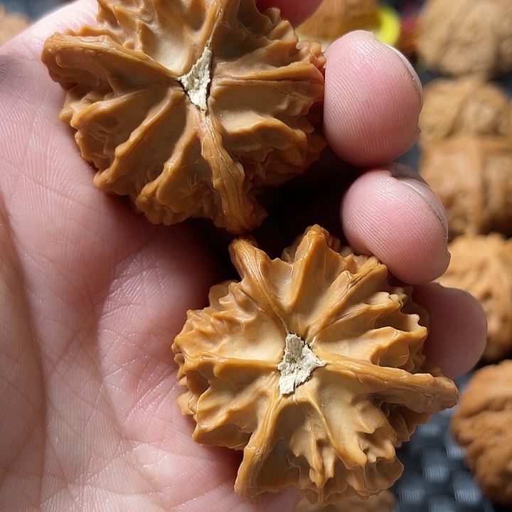 电***书文玩核桃把件三棱核桃盘山文玩核桃