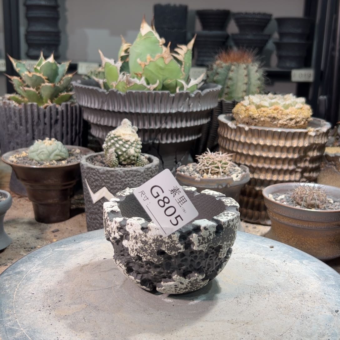 景德镇手工素里内口8.8高6.7