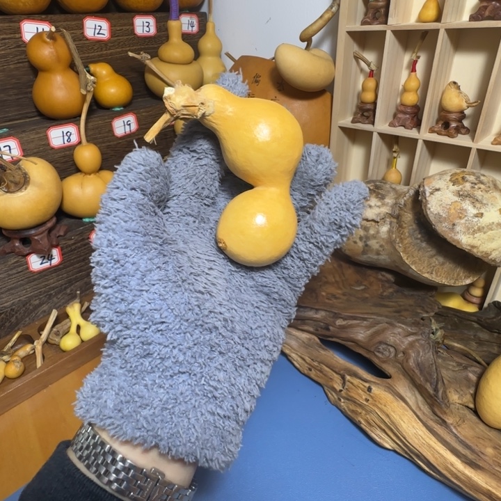 阿***惠铁皮蚂蚁胖胖蚂蚁天然葫芦葫芦