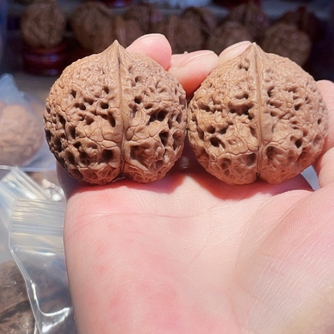 把件文玩核桃王八壳子带彩磕尖43