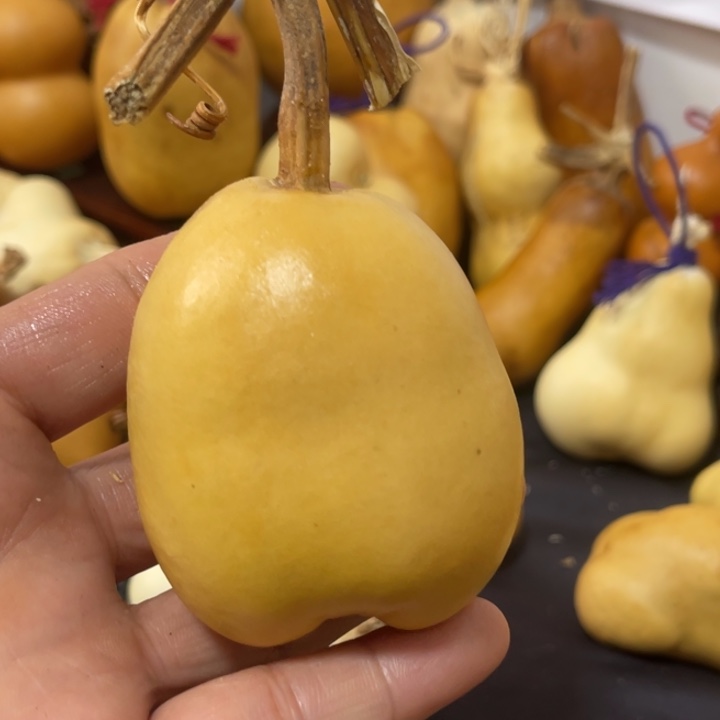 福***子葫芦哈哈哈哈哈哈哈哈