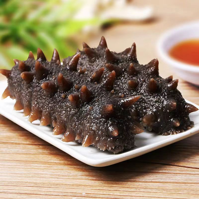 【鲜食海参】 营养价值高口感好 买一斤送一斤（共两斤）