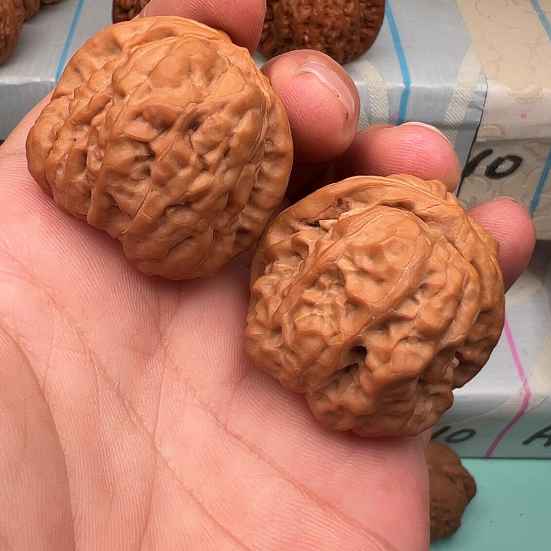 桃核把件文玩核桃蛤蟆37