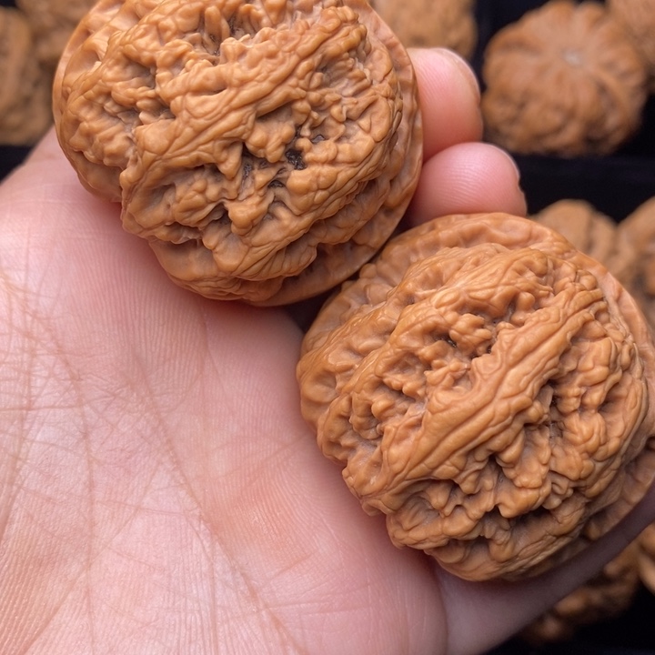 菩提籽类秦岭山脉文玩核桃