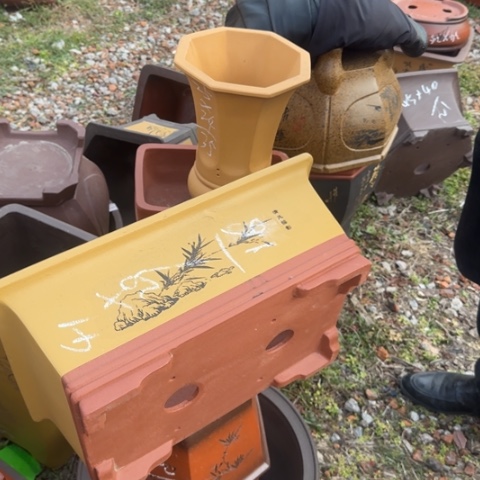 红陶紫砂花盆盆景盆栽