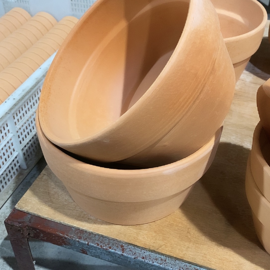 红陶20×11-2          