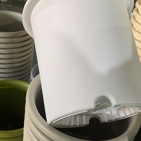 树脂冷*颜四季8号5个带托白色