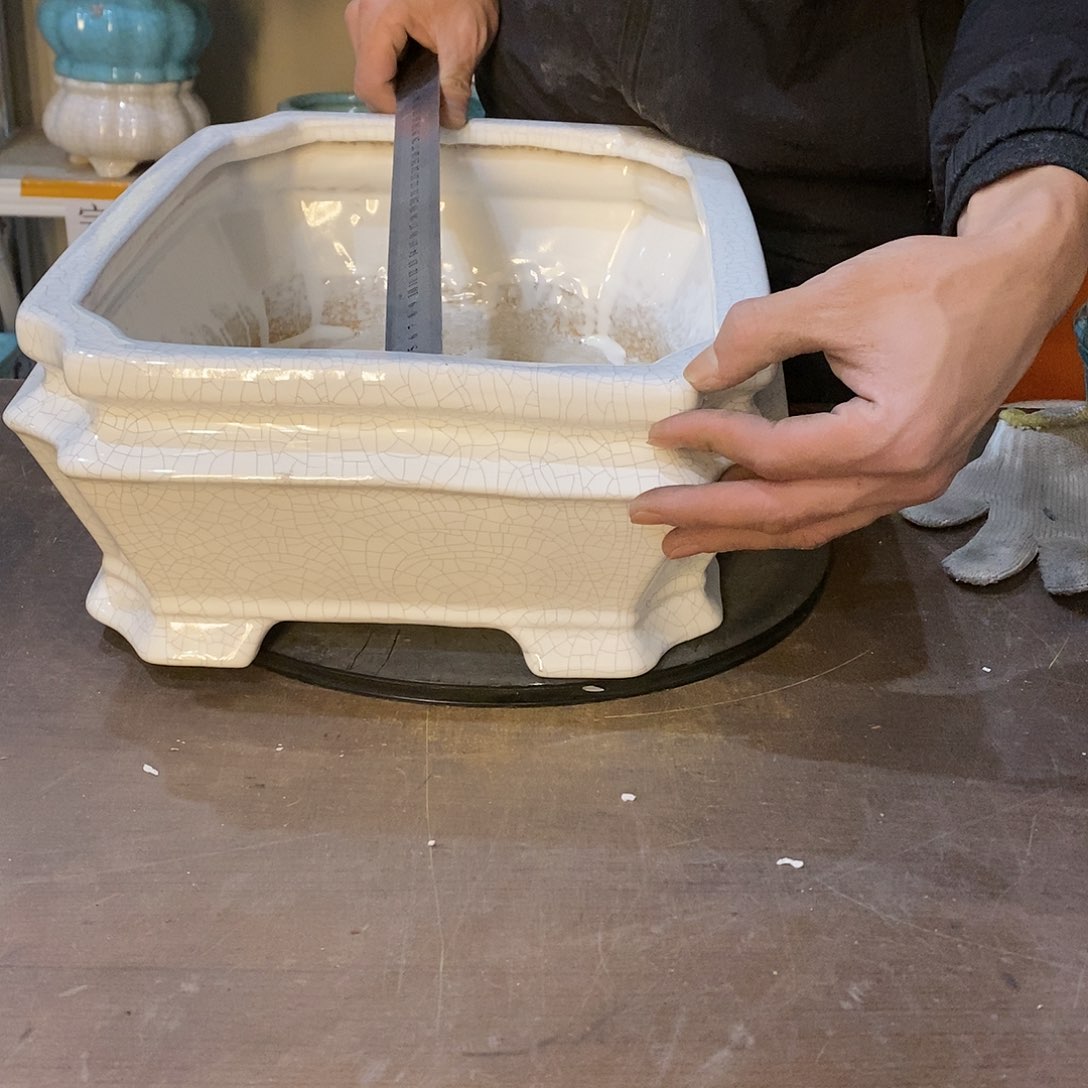 花盆花盆里放满鲜花