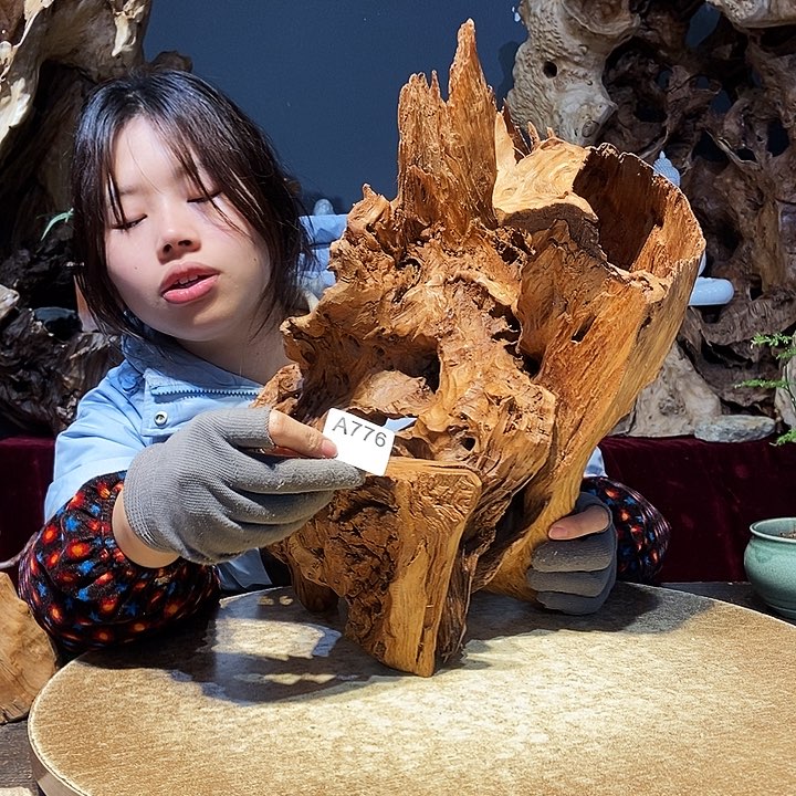 我***酒776株木随行的小根艺