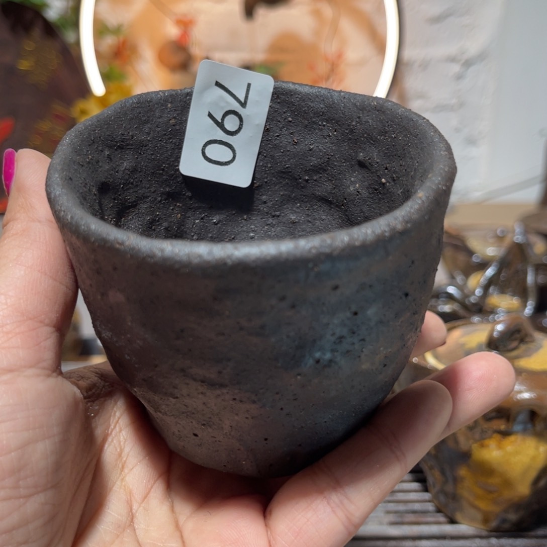 木村信弘柴烧保平