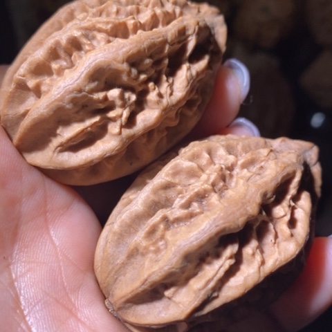 文玩核桃把件东北野生楸子小美09