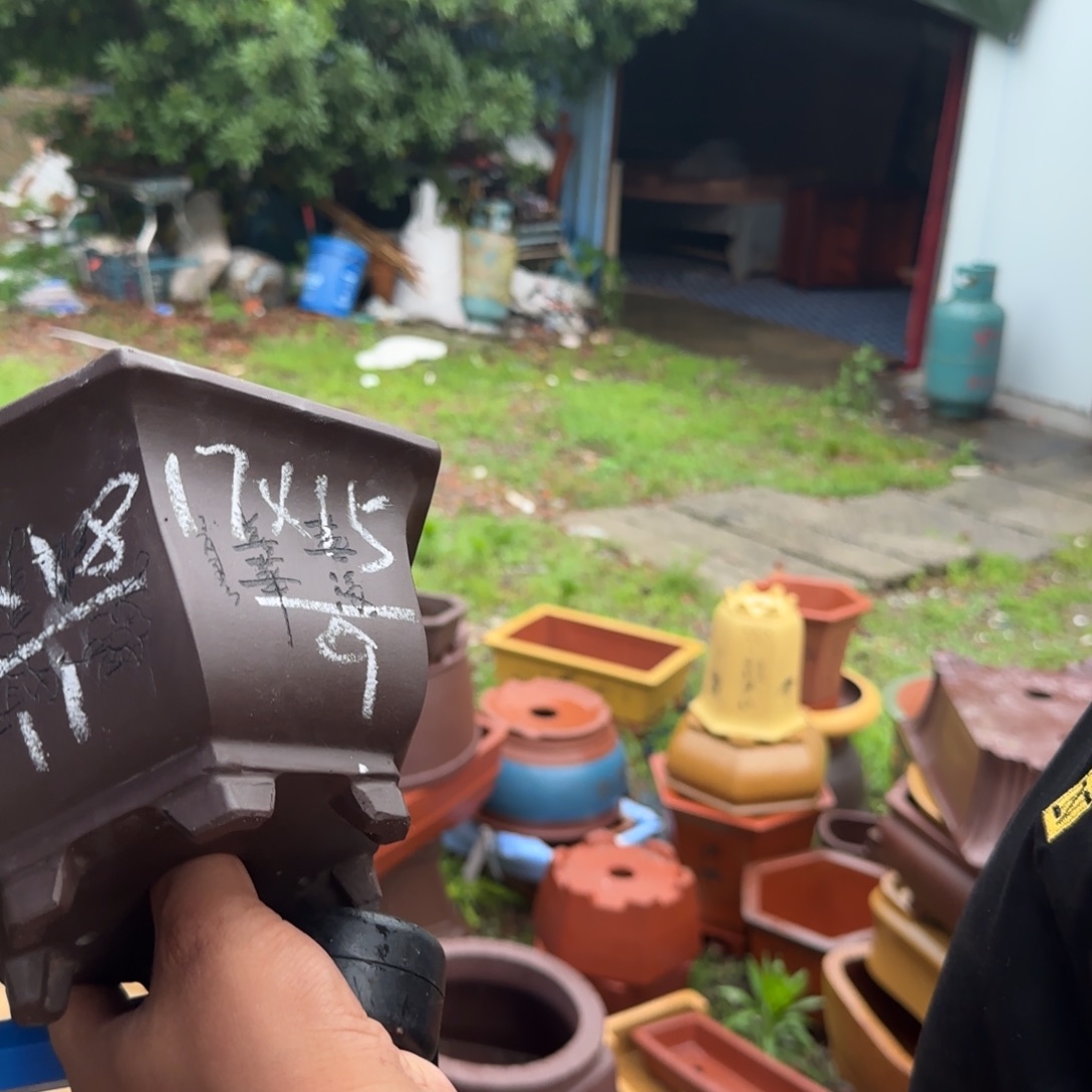 紫砂花盆花盆盆景盆栽