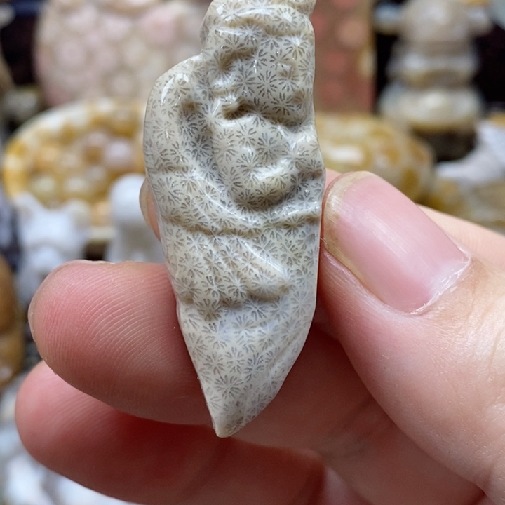 硅化珊瑚（珊瑚玉）颈饰未镶嵌特价小吊坠