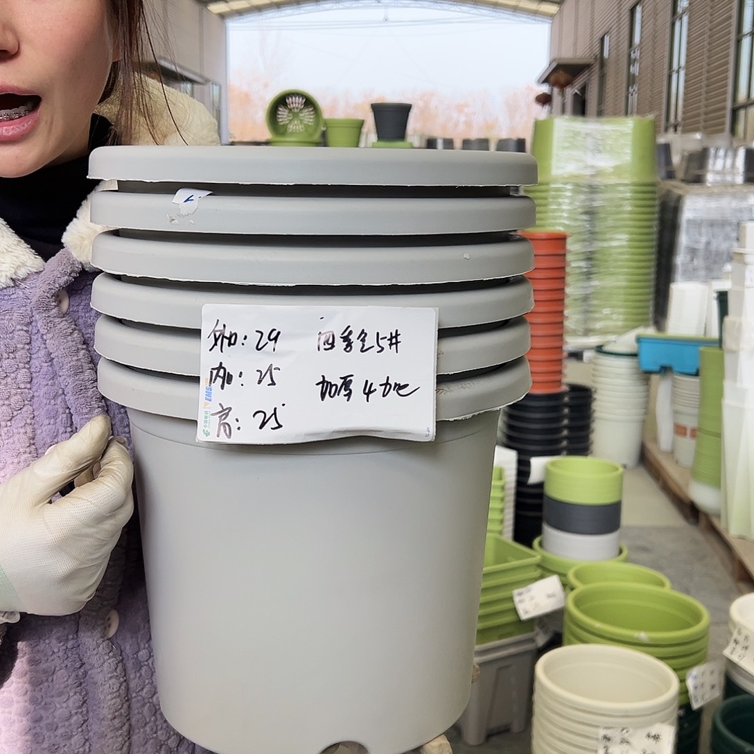 四季盆5#灰白6个无托