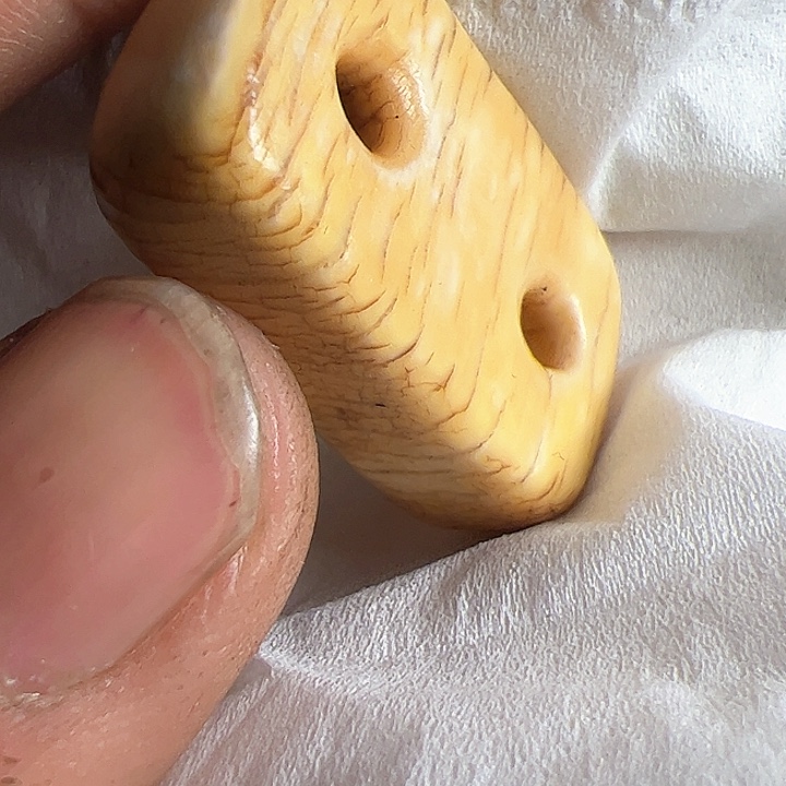 香榧木你的时候你