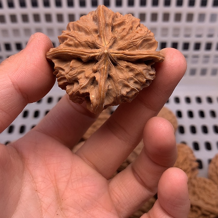 岁***静文玩核桃吊坠文玩核桃