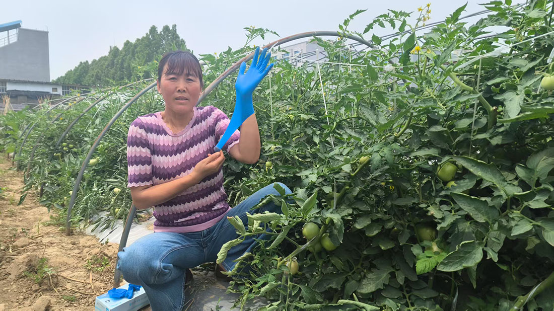 星宇一次性丁腈餐饮食品级家用防水清洁防护手套园艺手套