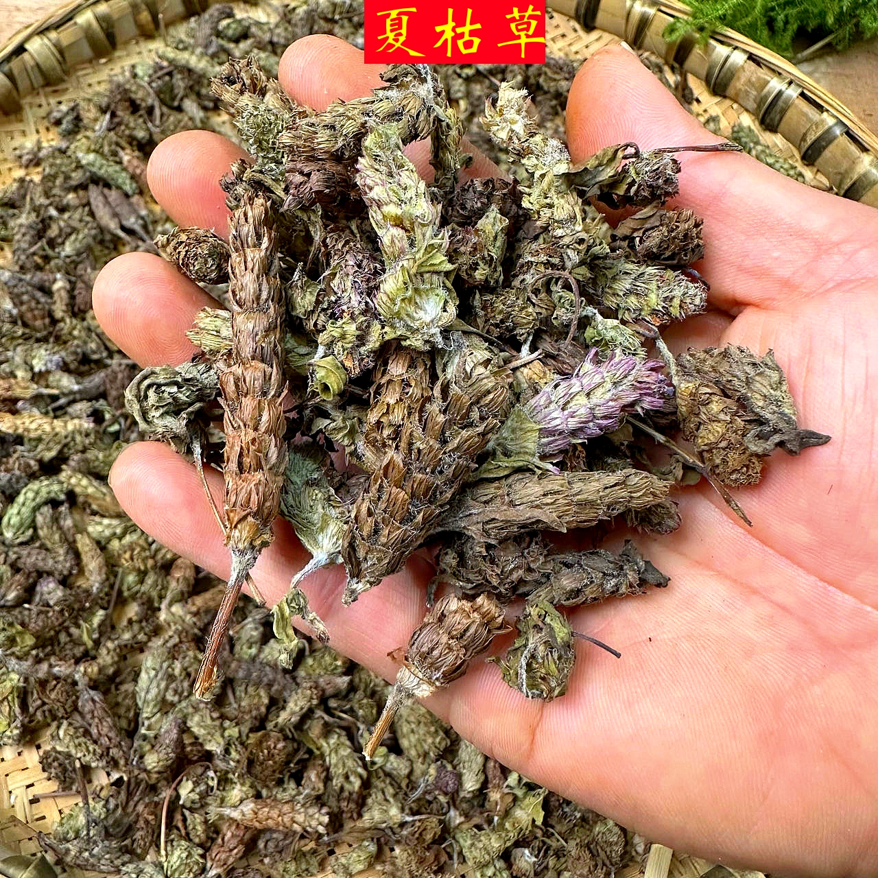 【夏枯草】 贵州野生夏枯草 夏枯球 无硫无熏 另有蒲公英