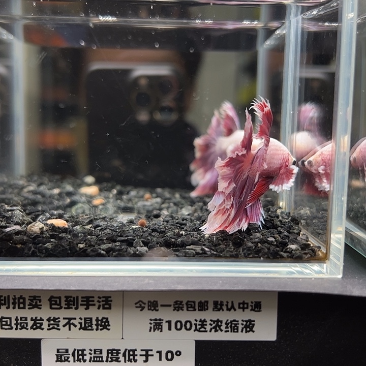 斗鱼跑單拉黑25日89