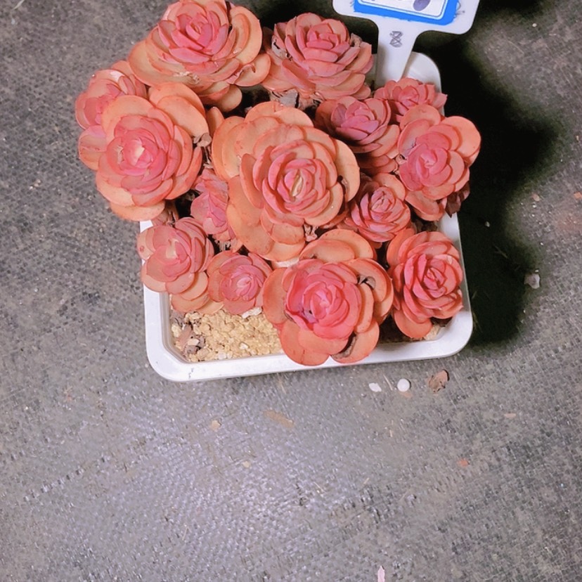 【闪购商品】不****调1128