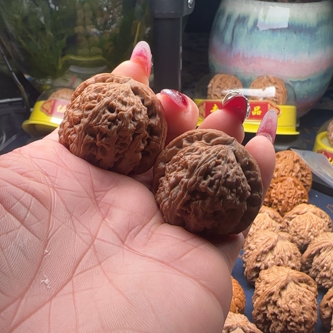 核桃傲*核桃三角白狮子头