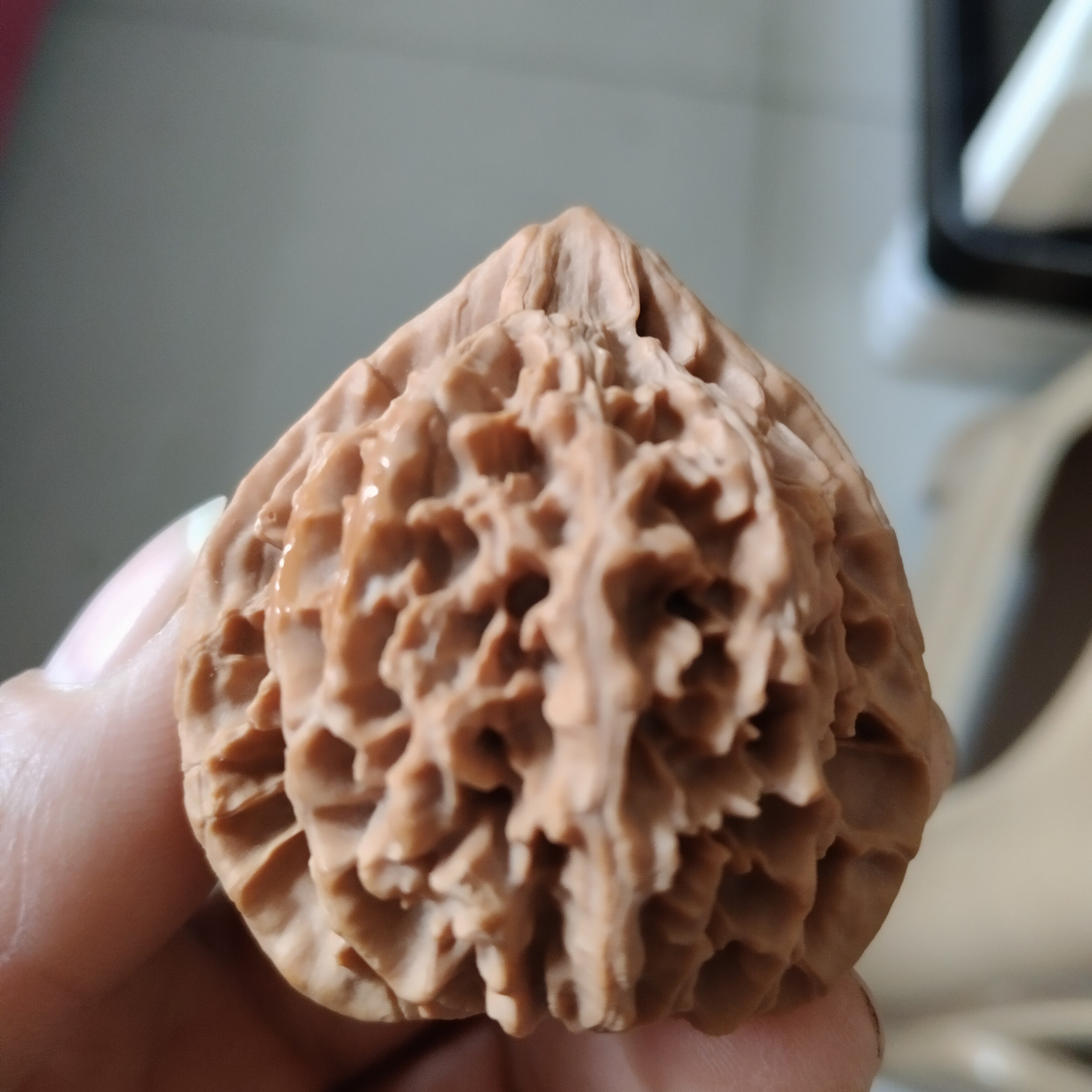 文玩核桃直播专属链接，一物一拍，私拍不发货