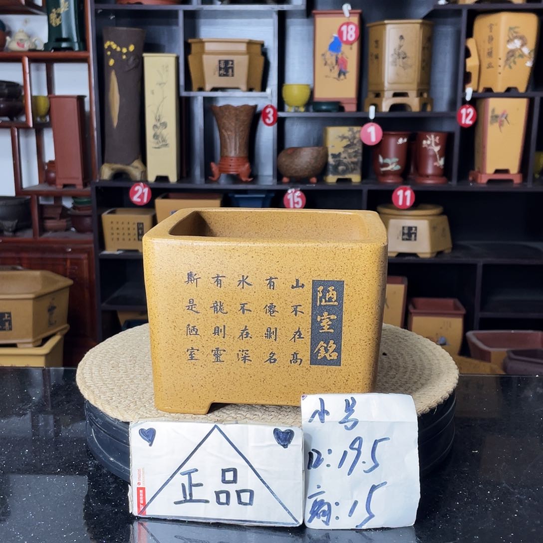 紫砂紫砂艺术紫砂工艺