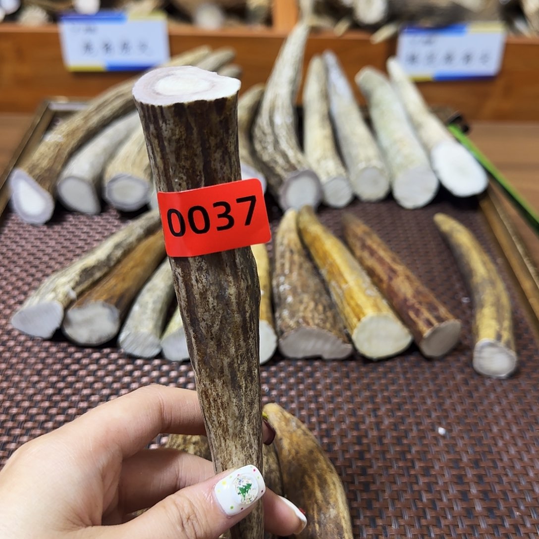 鹿骨手串/手链角尖0037